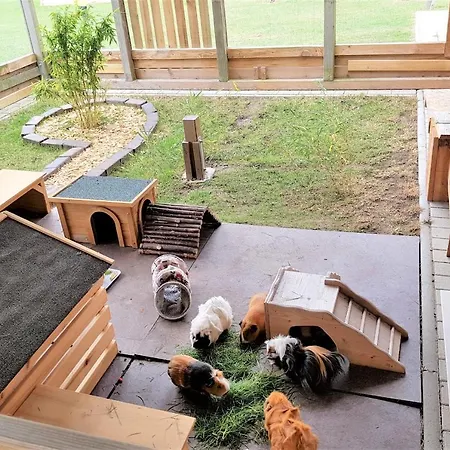 Διαμέρισμα Gutshaus U4 *